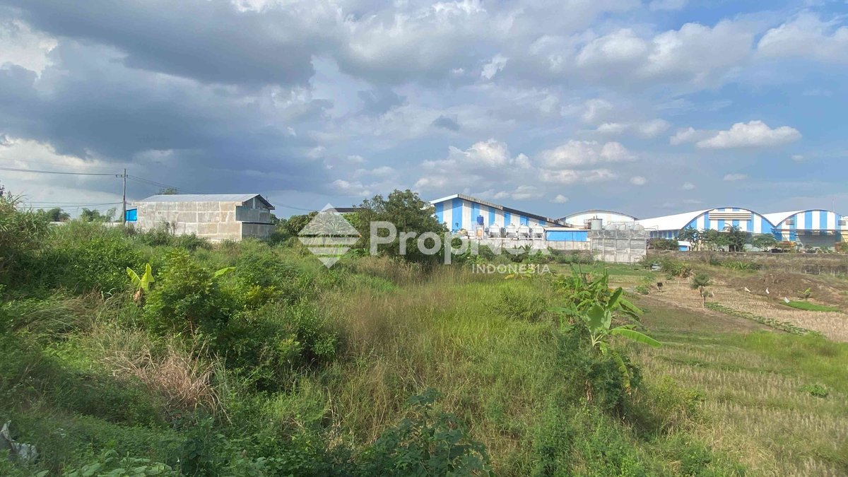 Tanah Kedamean Driyorejo — foto 2